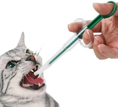 grooming glove kucing cat